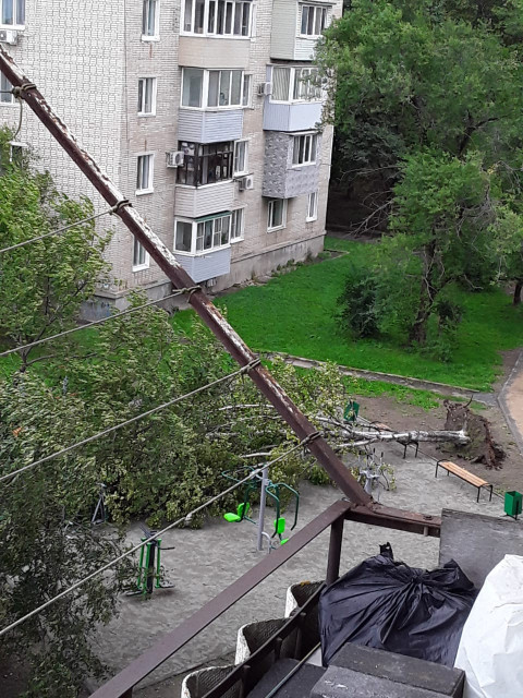 Фото-репортаж: Город падающих деревьев: тайфун не щадит Владивосток