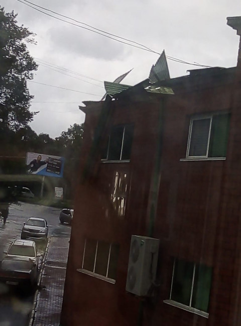 Фото-репортаж: Город падающих деревьев: тайфун не щадит Владивосток