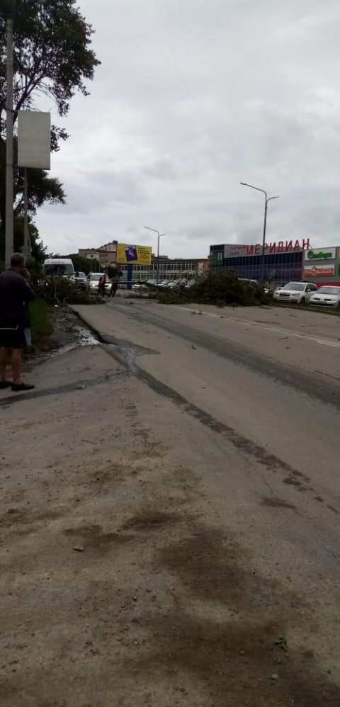 Фото-репортаж: Город падающих деревьев: тайфун не щадит Владивосток