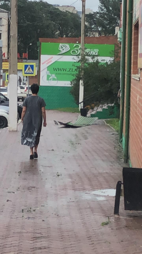 Фото-репортаж: Город падающих деревьев: тайфун не щадит Владивосток