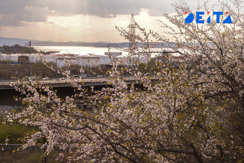 Фото-репортаж: Столичные сопки зовут на ханами. Фотопроект «Негламурная столица Дальнего Востока»