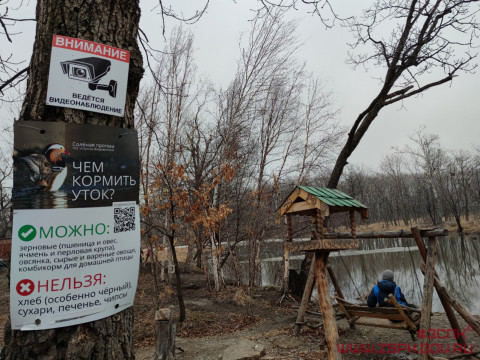 Фото-репортаж: На озере лотосов прошел субботник