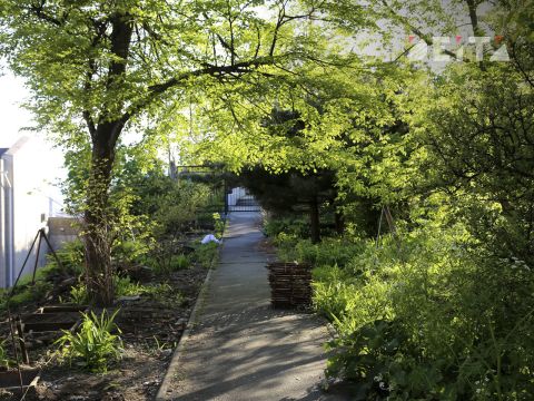 Фото-репортаж: Недоступные достопримечательности Владивостока путают туристов