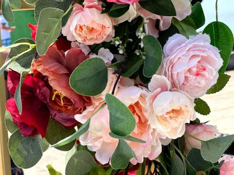 Фото-репортаж: Во Владивостоке подвели итоги конкурса-выставки "Цветочный бриз"