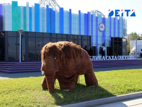 Фото-репортаж: Итоги ВЭФ-2025: центр новой эпохи