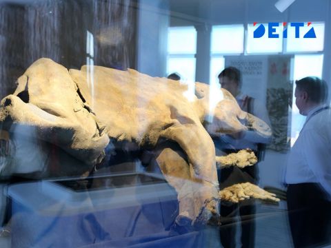 Фото-репортаж: Итоги ВЭФ-2025: центр новой эпохи