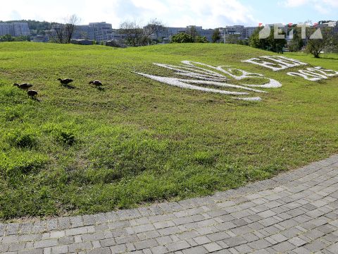 Фото-репортаж: Итоги ВЭФ-2025: центр новой эпохи