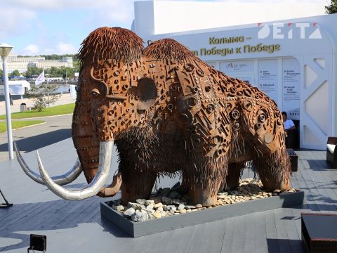 Фото-репортаж: Итоги ВЭФ-2025: центр новой эпохи