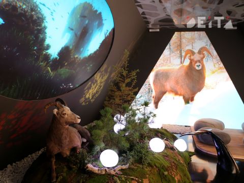 Фото-репортаж: Итоги ВЭФ-2025: центр новой эпохи