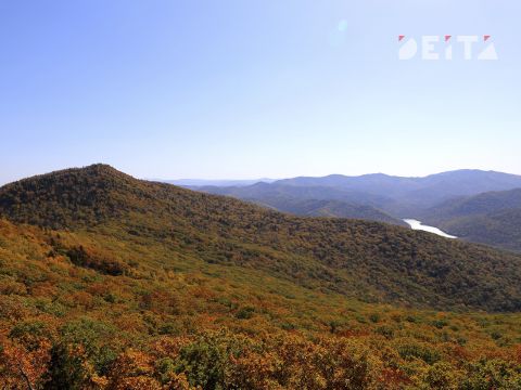 Фото-репортаж: Канатная дорога круглогодичного курорта начала работать в Приморье