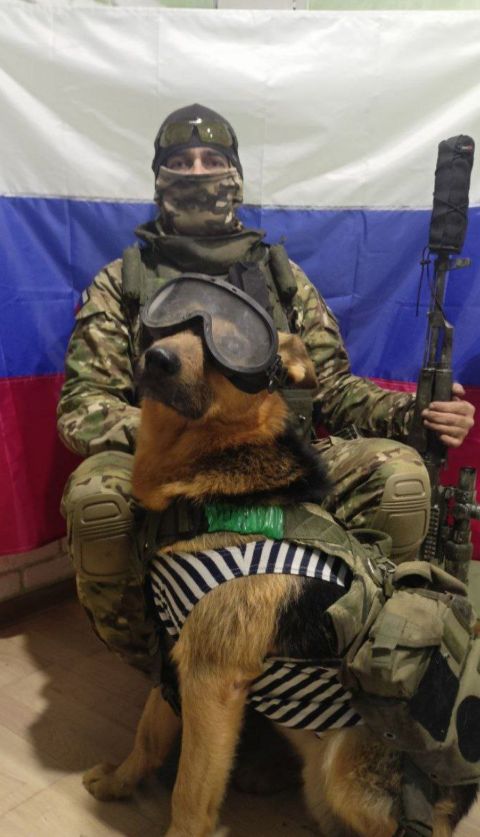 Фото-репортаж: «Живой уголок» 155 бригады ТОФ: как дальневосточники спасают животных на Донбассе