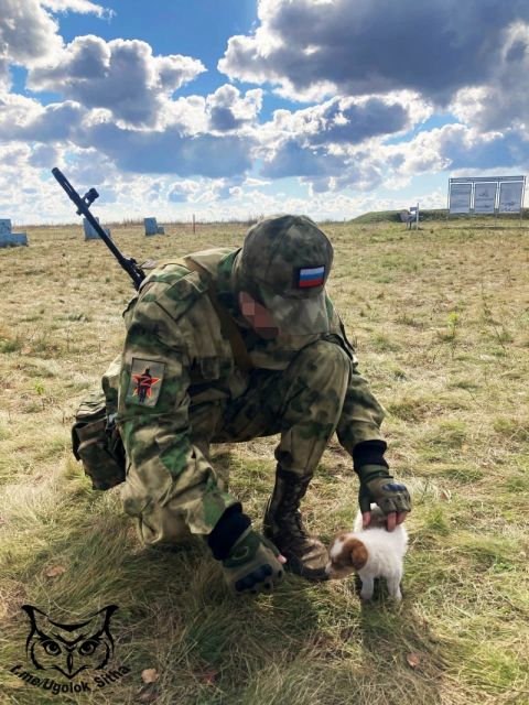 Фото-репортаж: «Живой уголок» 155 бригады ТОФ: как дальневосточники спасают животных на Донбассе