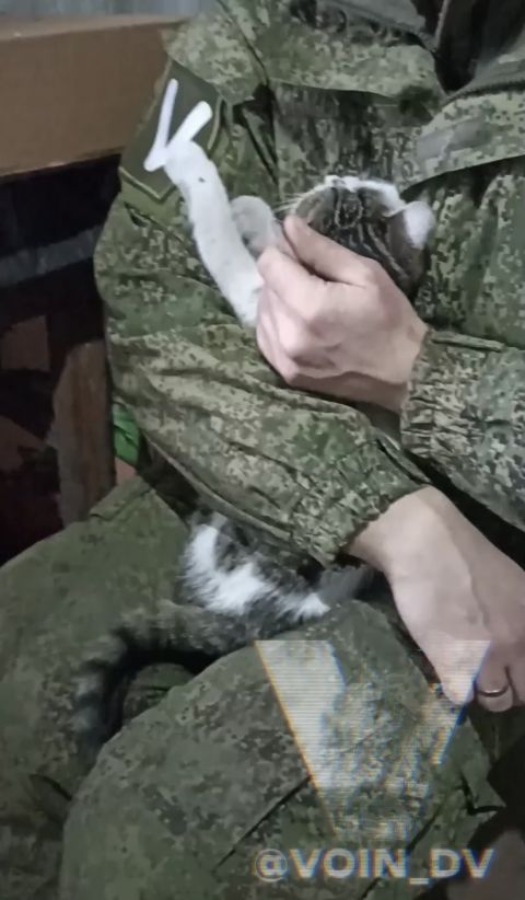 Фото-репортаж: «Живой уголок» 155 бригады ТОФ: как дальневосточники спасают животных на Донбассе