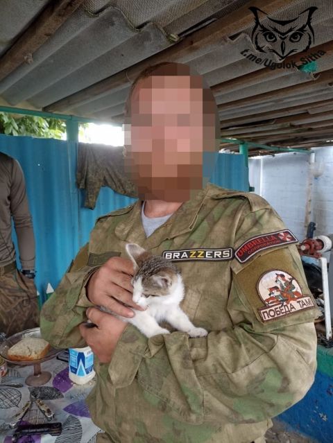 Фото-репортаж: «Живой уголок» 155 бригады ТОФ: как дальневосточники спасают животных на Донбассе