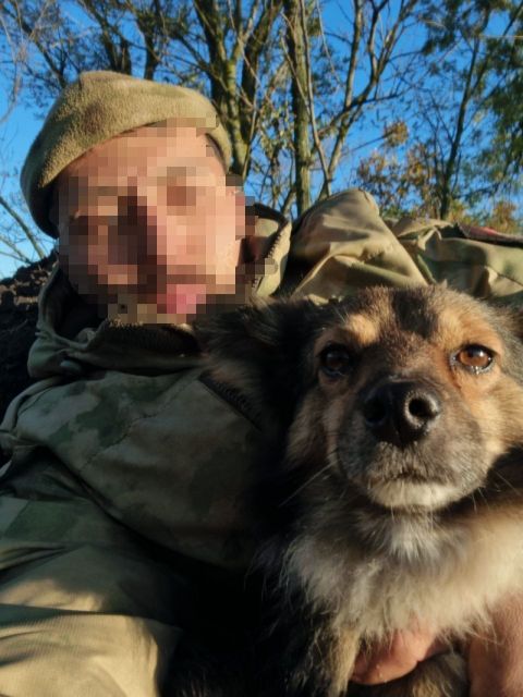 Фото-репортаж: «Живой уголок» 155 бригады ТОФ: как дальневосточники спасают животных на Донбассе