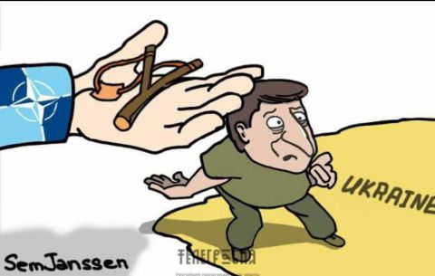 Фото-репортаж: Малыш-нацист: Зеленский стал мировой звездой язвительных карикатур