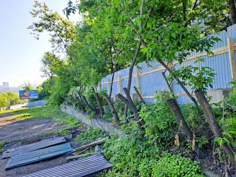 Фото-репортаж: Скандальные стройки и пинг-понг чиновников разозлили владивостокцев