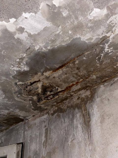 Фото-репортаж: Крысы, мусор, вонь и нехорошие соседи: "гостинка" во Владивостоке застряла в коммунальном аду