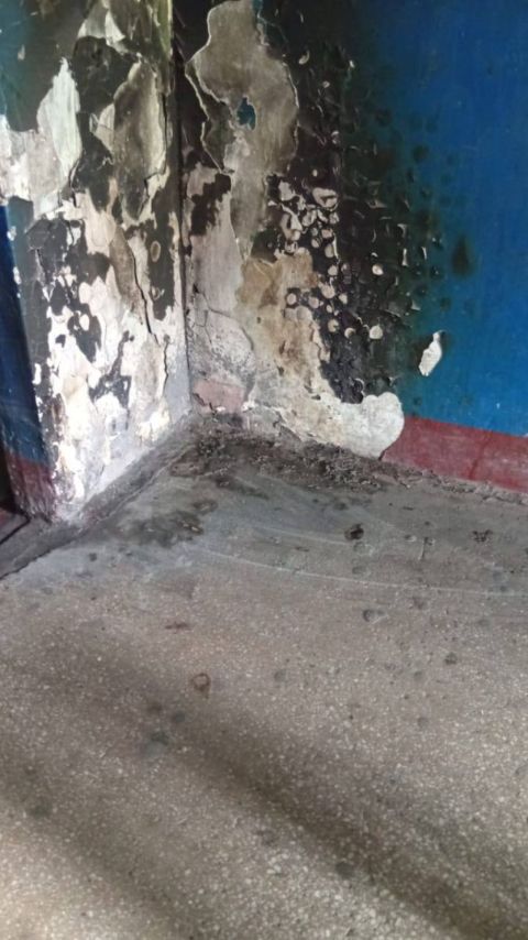 Фото-репортаж: Крысы, мусор, вонь и нехорошие соседи: "гостинка" во Владивостоке застряла в коммунальном аду