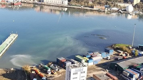 Фото-репортаж: Загрязнение воды наблюдается в бухте Золотой Рог