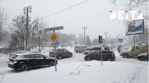 Фото-репортаж: Снежный циклон покидает Приморье и крушит Хабаровский край