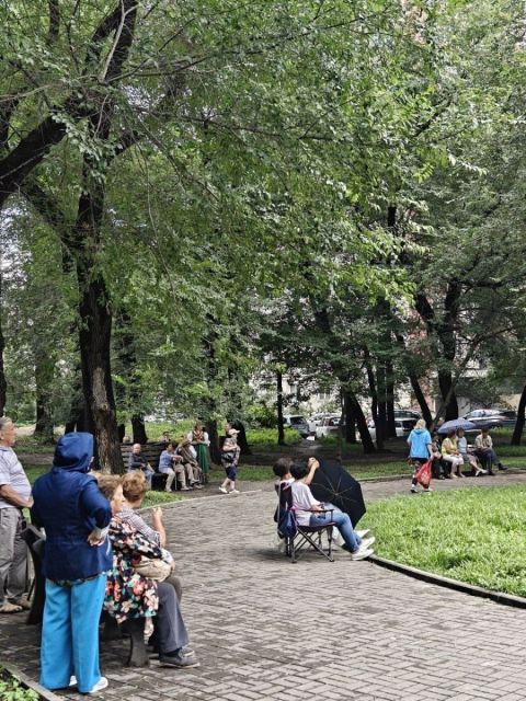 Загадочное исчезновение детской площадки расследуют во Владивостоке