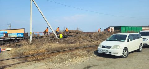 Фото-репортаж: Риск серьёзного ландшафтного пожара навис над микрорайоном Владивостока