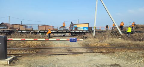 Фото-репортаж: Риск серьёзного ландшафтного пожара навис над микрорайоном Владивостока