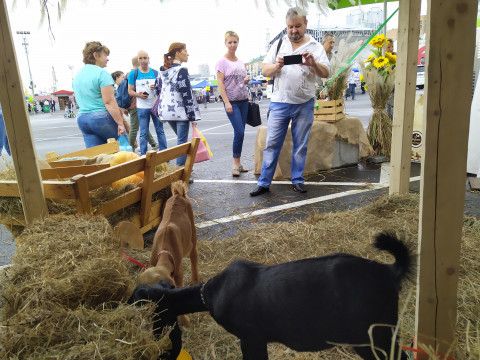 Фото-репортаж: Юбилейная сельскохозяйственная ярмарка-выставка проходит в Приморье