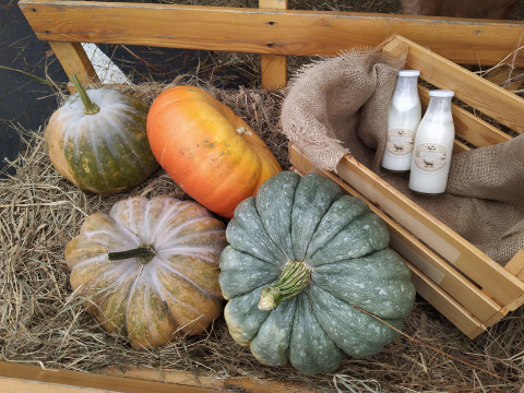 Фото-репортаж: Юбилейная сельскохозяйственная ярмарка-выставка проходит в Приморье