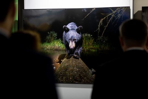 Фото-репортаж: ВМТП сделал подарок для Владивостока