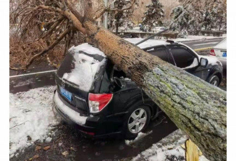Фото-репортаж: Ледяной дождь подошёл к границам Приморья