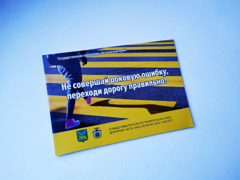 Фото-репортаж: Студенты Владивостока вспомнили о правилах поведения на дороге