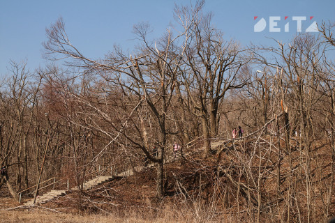 Фото-репортаж: Пыль да бурелом города-столицы. Фотопроект «Негламурная столица Дальнего Востока»