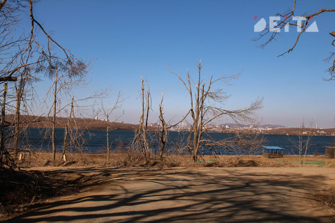 Фото-репортаж: Пыль да бурелом города-столицы. Фотопроект «Негламурная столица Дальнего Востока»