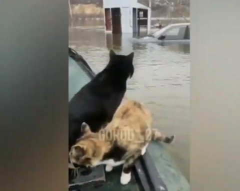 Фото-репортаж: Город в Хабаровском крае уходит под воду