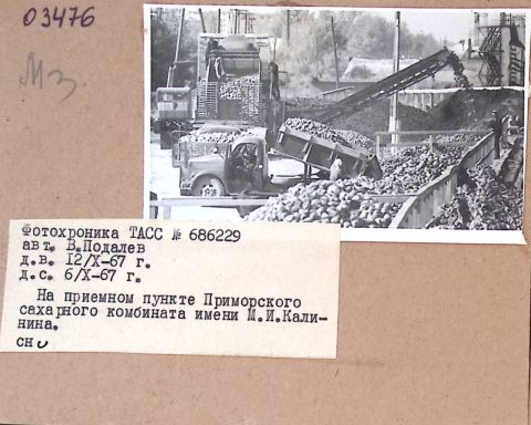 Фото-репортаж: «Встать грудью за Москву»: как уссурийцы отстояли столицу и трудились в тылу