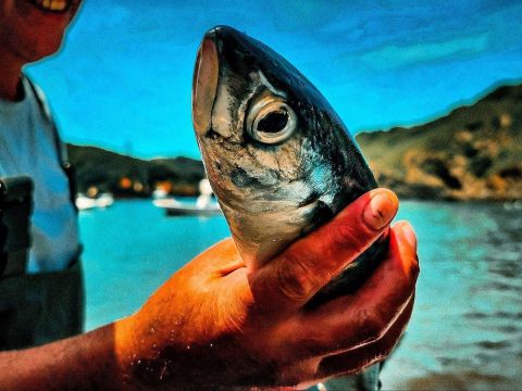 Фото-репортаж: Чем гордится Приморье