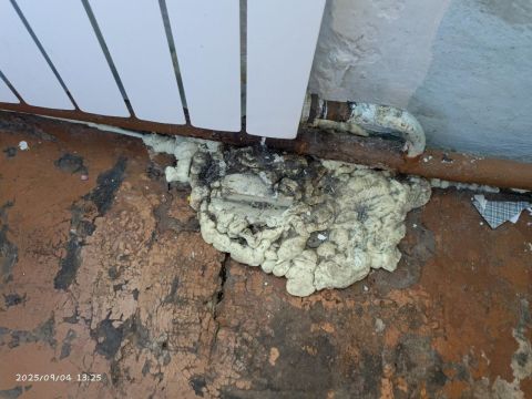 Фото-репортаж: Малоимущая мать-одиночка из северного приморского села оказалась 198-й в очереди на улучшение жилищных условий