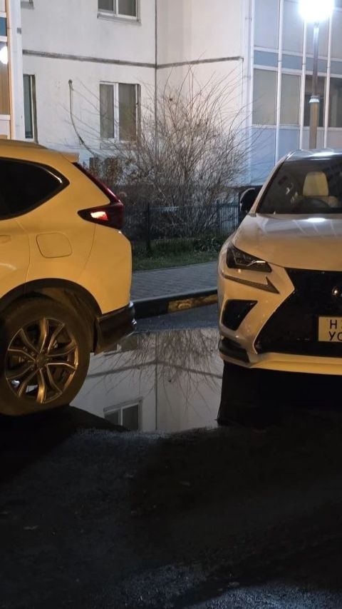 Фото-репортаж: Канализационный конфликт во Владивостоке: новостройки систематически топят соседний двор фекалиями