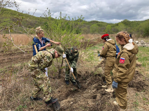 Фото-репортаж: Тысячу кедров посадили на «Земле леопарда» в дни празднования Победы