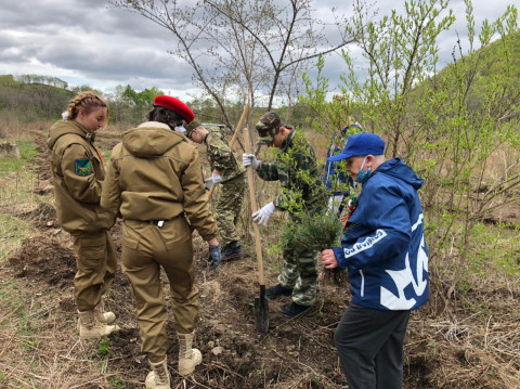 Фото-репортаж: Тысячу кедров посадили на «Земле леопарда» в дни празднования Победы