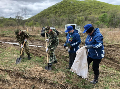 Фото-репортаж: Тысячу кедров посадили на «Земле леопарда» в дни празднования Победы