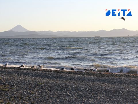 Фото-репортаж: Страшно красиво: Вулканы Камчатки – фоторепортаж