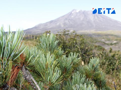 Фото-репортаж: Страшно красиво: Вулканы Камчатки – фоторепортаж