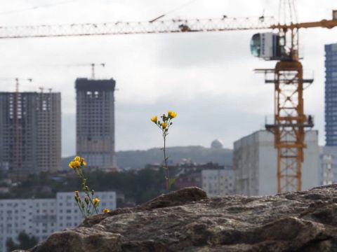 Фото-репортаж: «Домам здесь не место»: акцию против точечной застройки провели владивостокцы