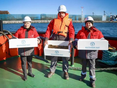 Фото-репортаж: «Восточный Порт» высадил молодь трепанга в акваторию бухты Врангеля