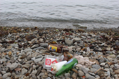 Фото-репортаж: «Единая Россия» вышла на очистку морского побережья во Владивостоке