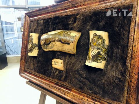 Фото-репортаж: Как прошел ВЭФ-2022 во Владивостоке - фоторепортаж