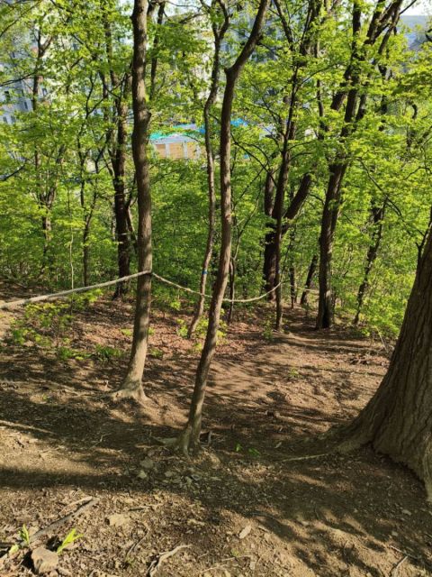 Фото-репортаж: Высоко, опасно, но на километр ближе - дети "Изумрудного" ходят в школу по бездорожью